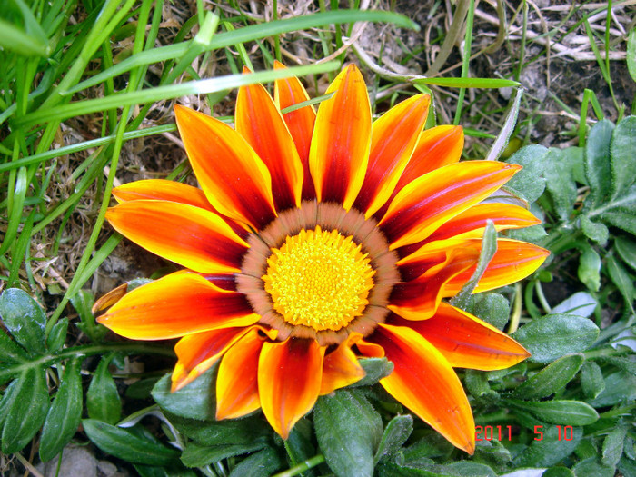 DSC00082