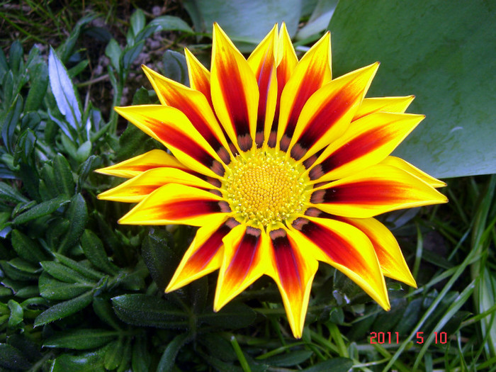 DSC00083