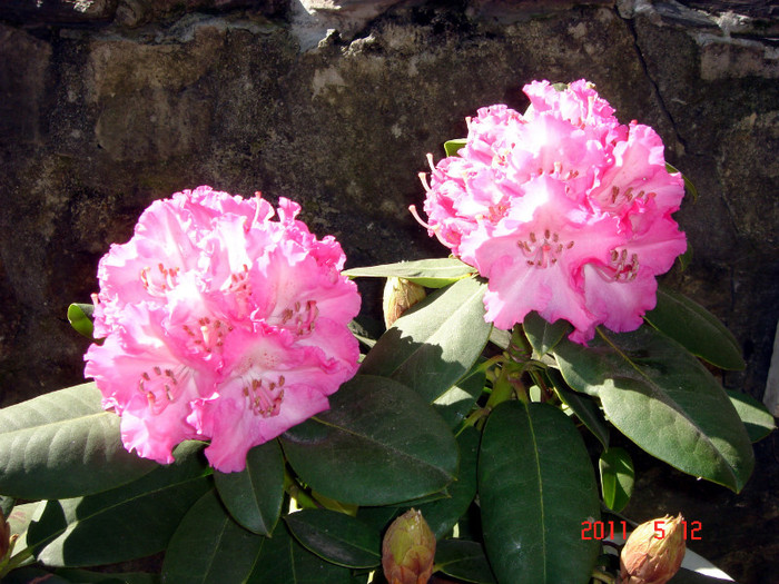 DSC00088