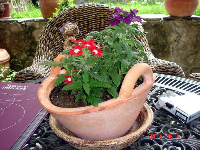 DSC00102