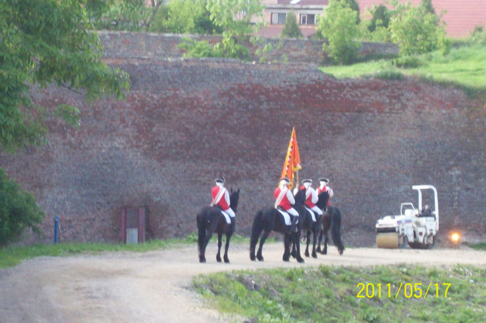 101_9012 - ALBA IULIA