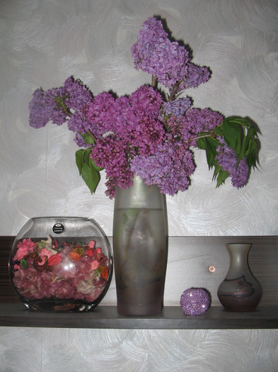 IMG_3626 - Flori in vaza