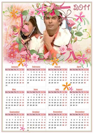CALENDAR33 - Calendare cu actori indieni