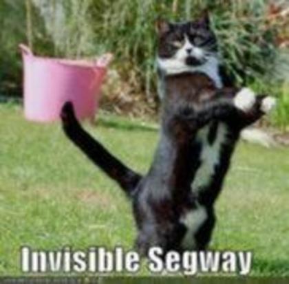 Invizible Segway - Funny photos
