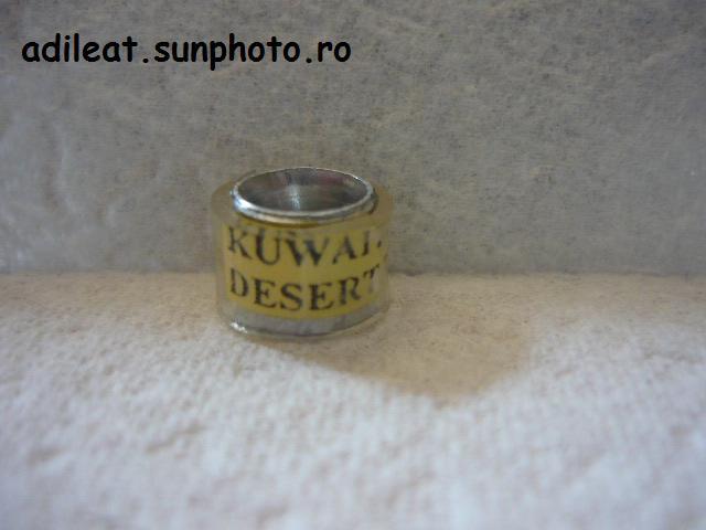 KUWAIT-DESERT - 9-B-COLECTIE DE INELE
