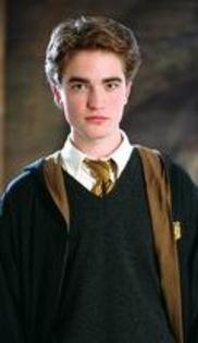 Cedric Diggory - Harry Potter