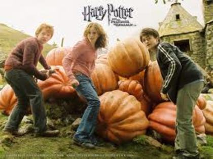 ftg - Harry Potter