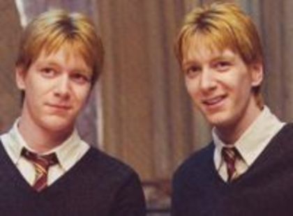 Fred si George Weasley - Harry Potter