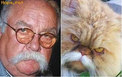 Celebritati - Wilford Brimley - Diabeetus cat