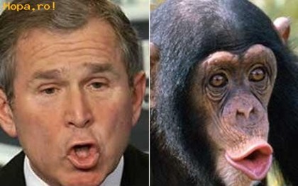 Celebritati - George Bush-Chimpanzee - asemanari fabuloase