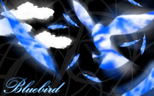  - Blue Bird