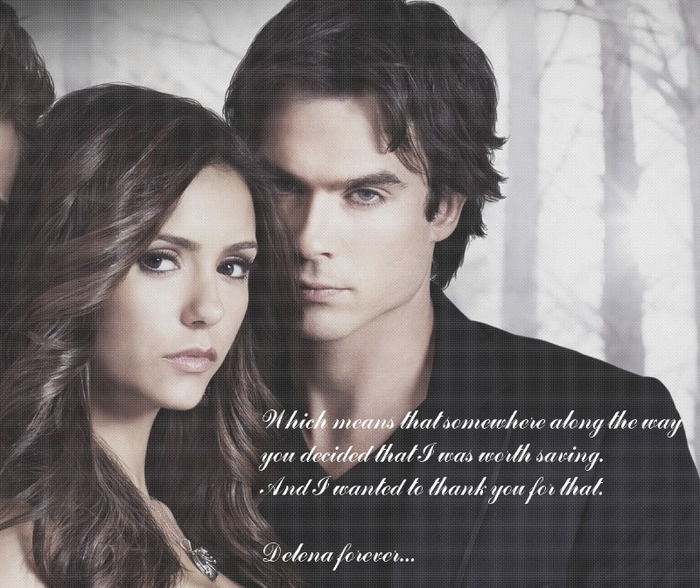 Delena-damon-and-elena-15988060-1158-973