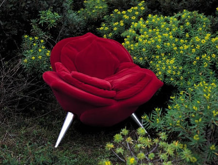 rose_chair-thumb-450x340