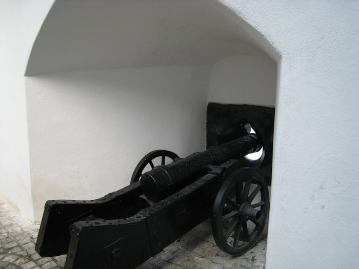 1 MAI 2011 CETATE BV 028