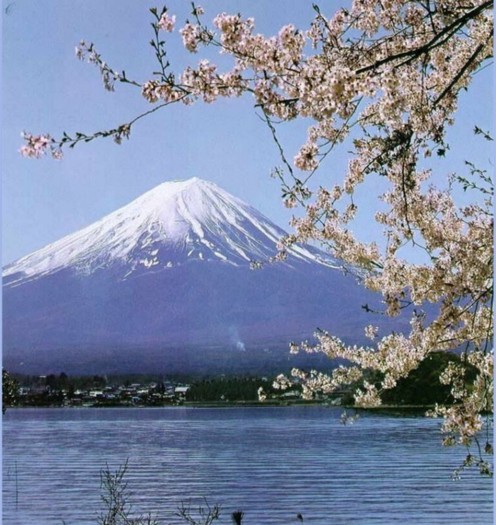 japonia (23)