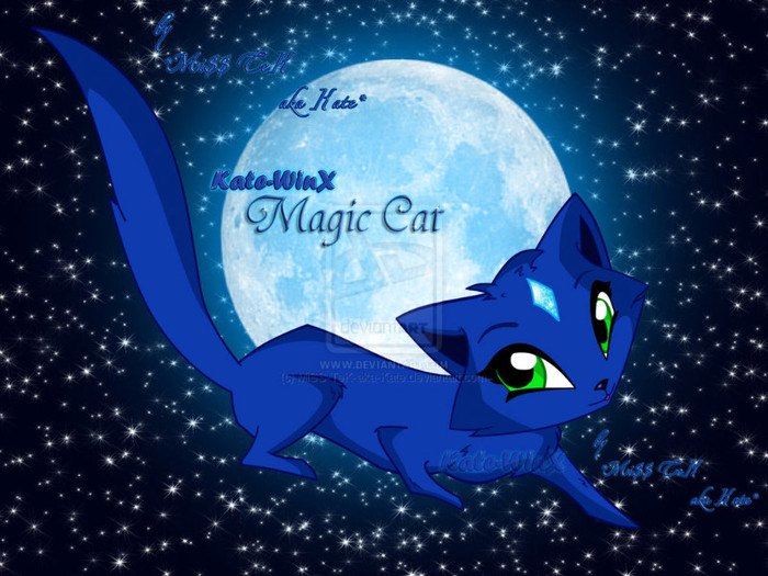 kate___magic_cat_by_miss_tek_aka_kate-d3025ag - margo