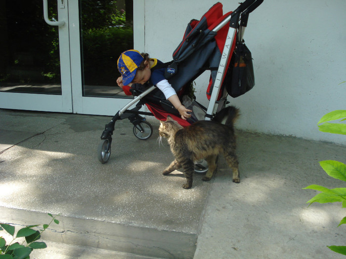 O SA TE IAU LA NONA,LA BRASOV:))