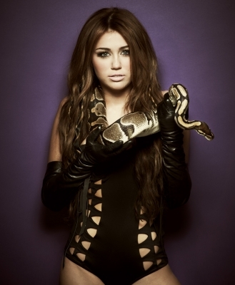 normal_014~0 - Cant be Tamed Promotionals new