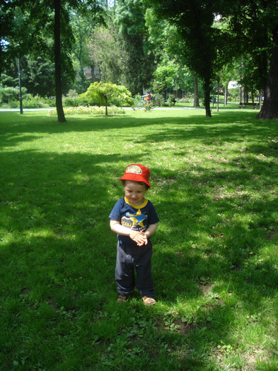 IN CAUTAREA UNEI COMORI