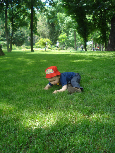 AM GASIT COMOARA:O FURNICA:))