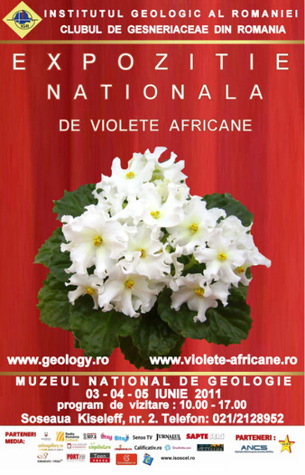 Expozitie - 0 EXPOZITIE NATIONALA DE VIOLETE AFRICANE IUNIE 2011