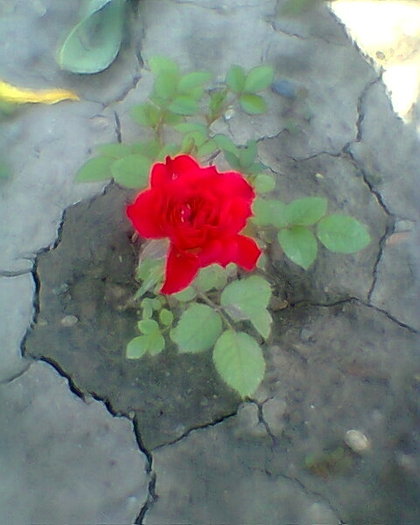 Fotogr.0070