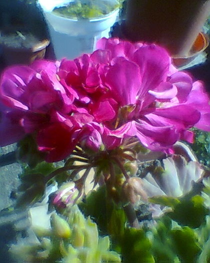 Fotogr.0013