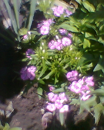 Fotogr.0019