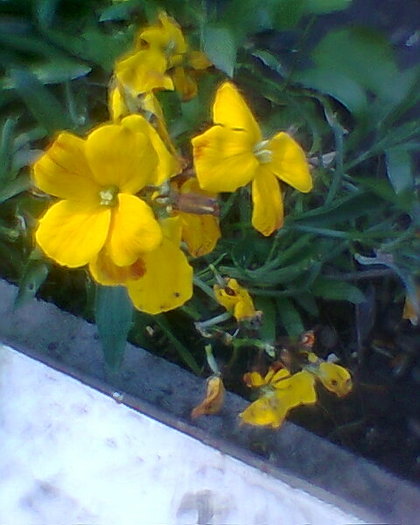 Fotogr.0024