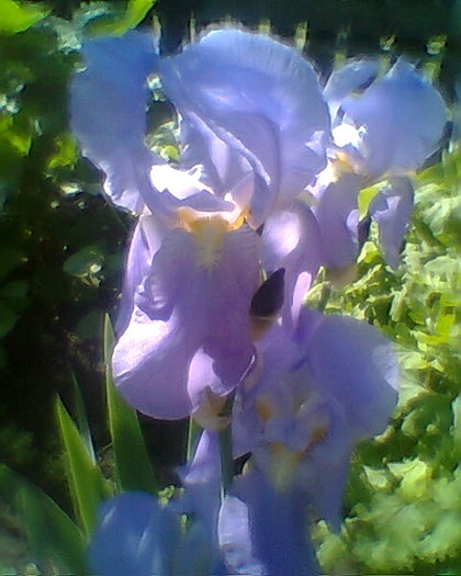 Fotogr.0027