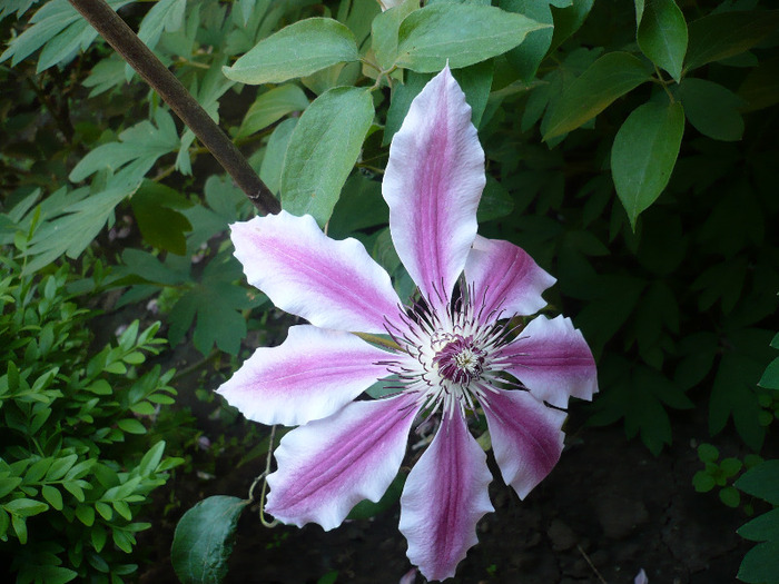 P1070034