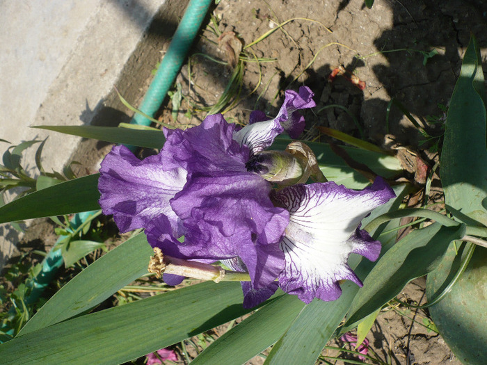 P1070047
