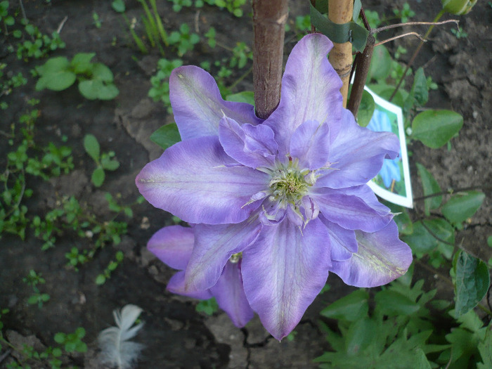 P1070051