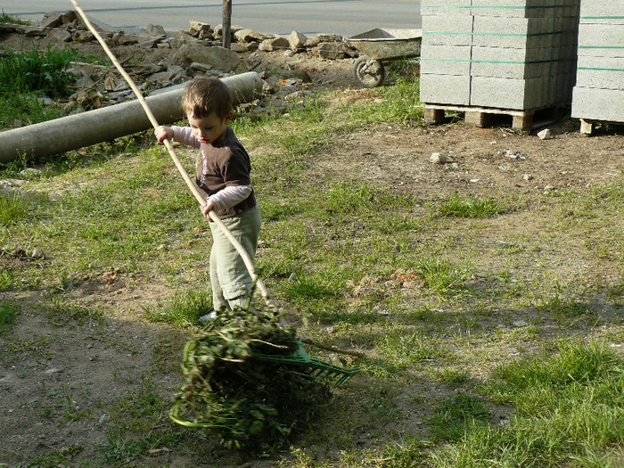 P1010269; Ajutorul nostru de baza
