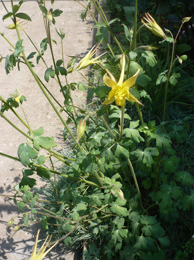 P1070055