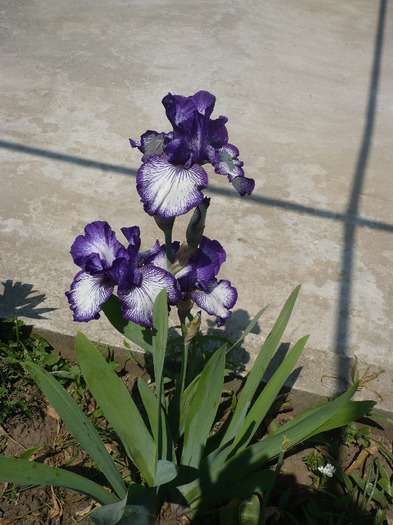 P1070059