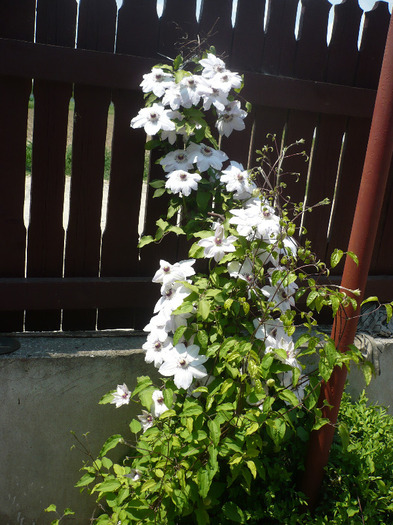 P1070061