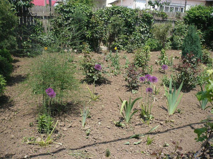 P1070066