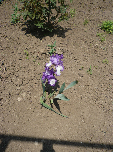 P1070067