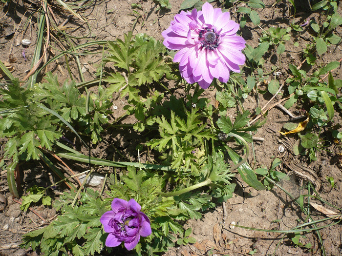 P1070068