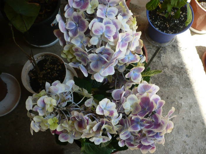 P1070072