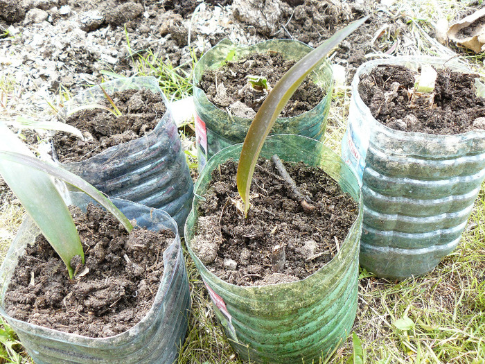 P1010276