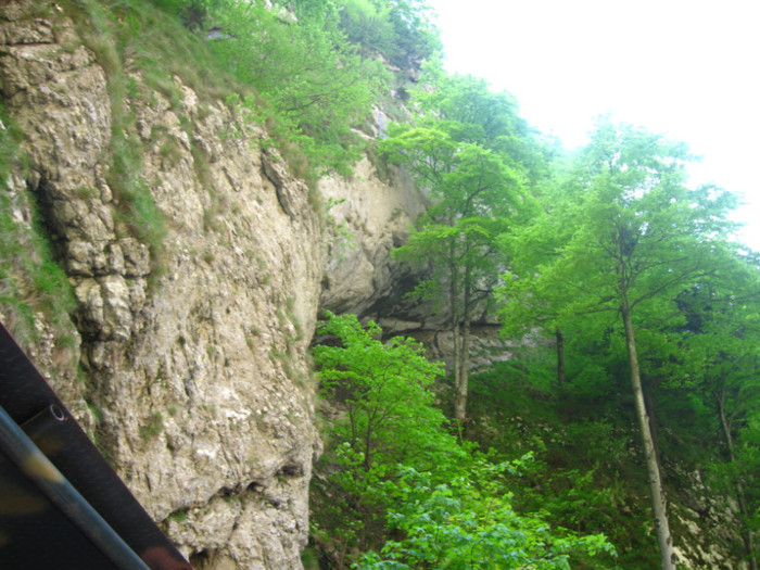  - 000 CALATORIE PRIN TARA