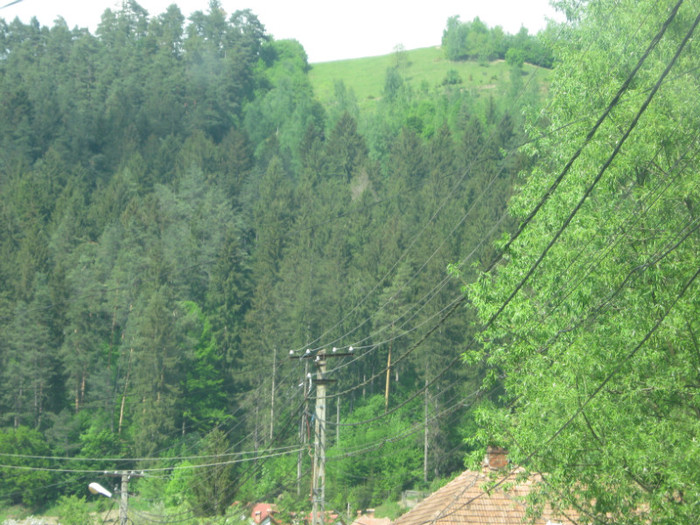  - 000 CALATORIE PRIN TARA