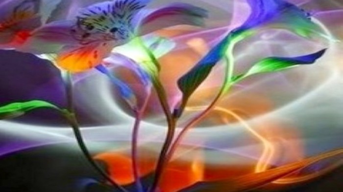 neon-flowers1 - abstract