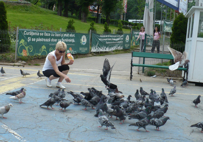 P1340173 - Parcul Tineretului 21 mai 2011