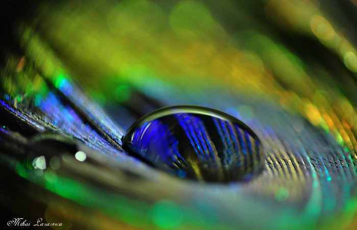 Just a drop