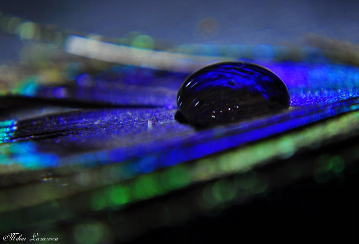Just a drop