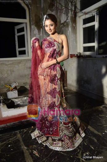 normal_Sara%20Khan%20at%20designer%20Rohit%20Verma%20PhotoShoot%20on%2018th%20May%202011%20%2825%29