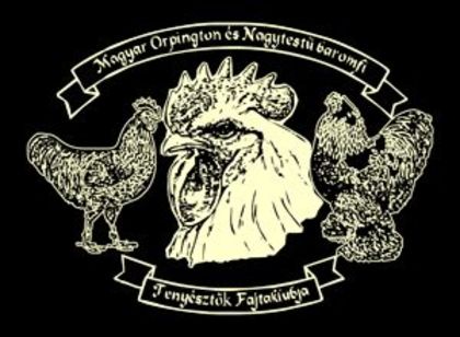 magyar_orpington_klub_logo